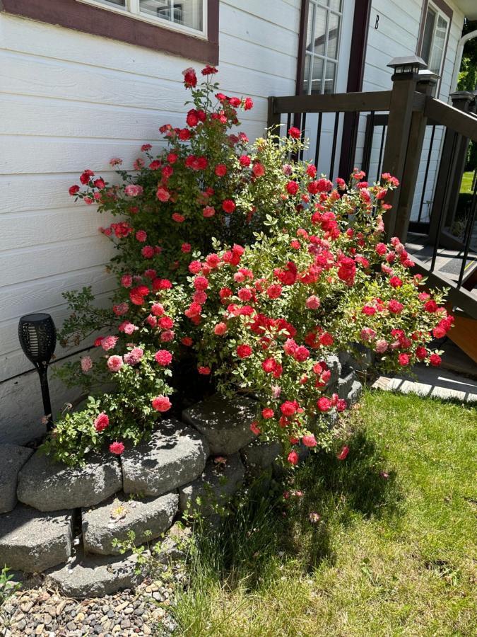 Cozy Cottage House B With Double Carport Twin Falls Esterno foto